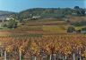 saint_desert_vendanges_8.jpg